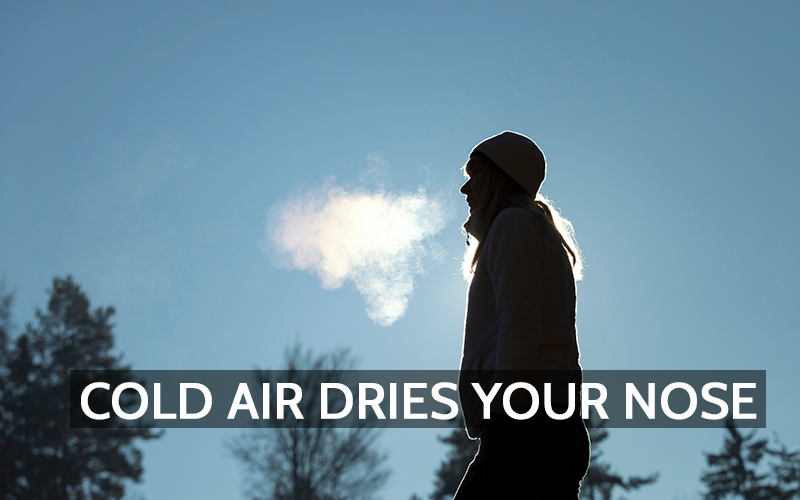 Placeholder Article Number 2