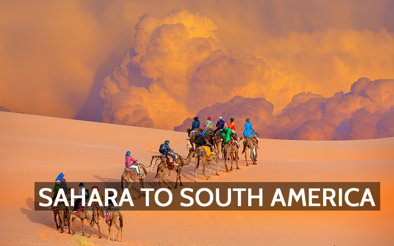 Nutrient Highways: Understanding the Sahara-Amazon Dust Connection