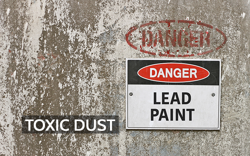The Legacy of Lead: How Pollution Shaped Public Health Policy