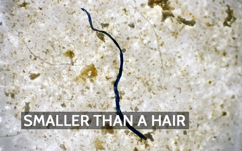 From Thread to Threat: How Synthetic Fabrics Contribute to Microplastic Pollution