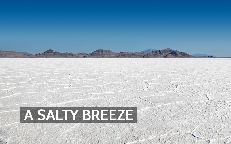 Salt Flats, Hypersaline Inland Seas, and Their Impact on Regional Air Quality